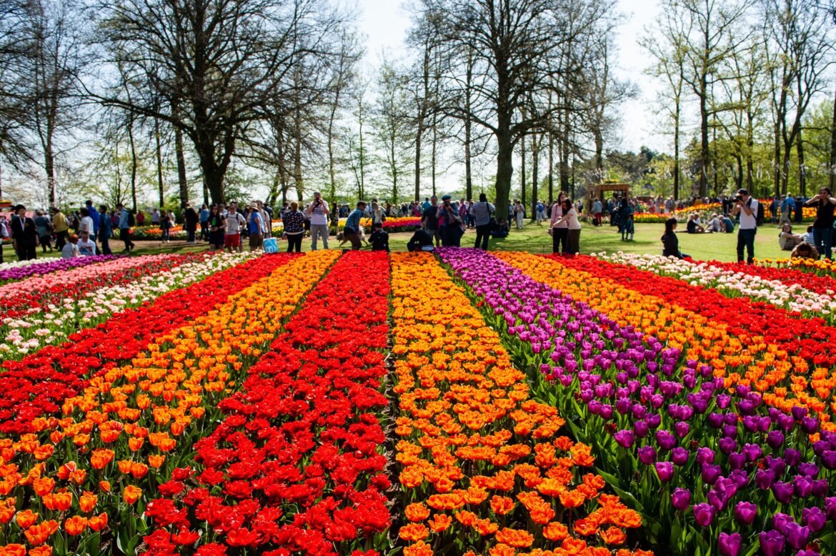 Places to Visit in Spring